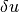 \delta u